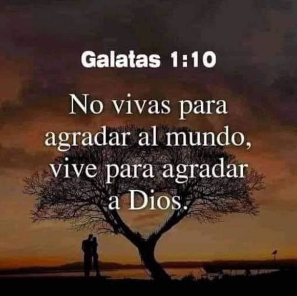 lealopez526